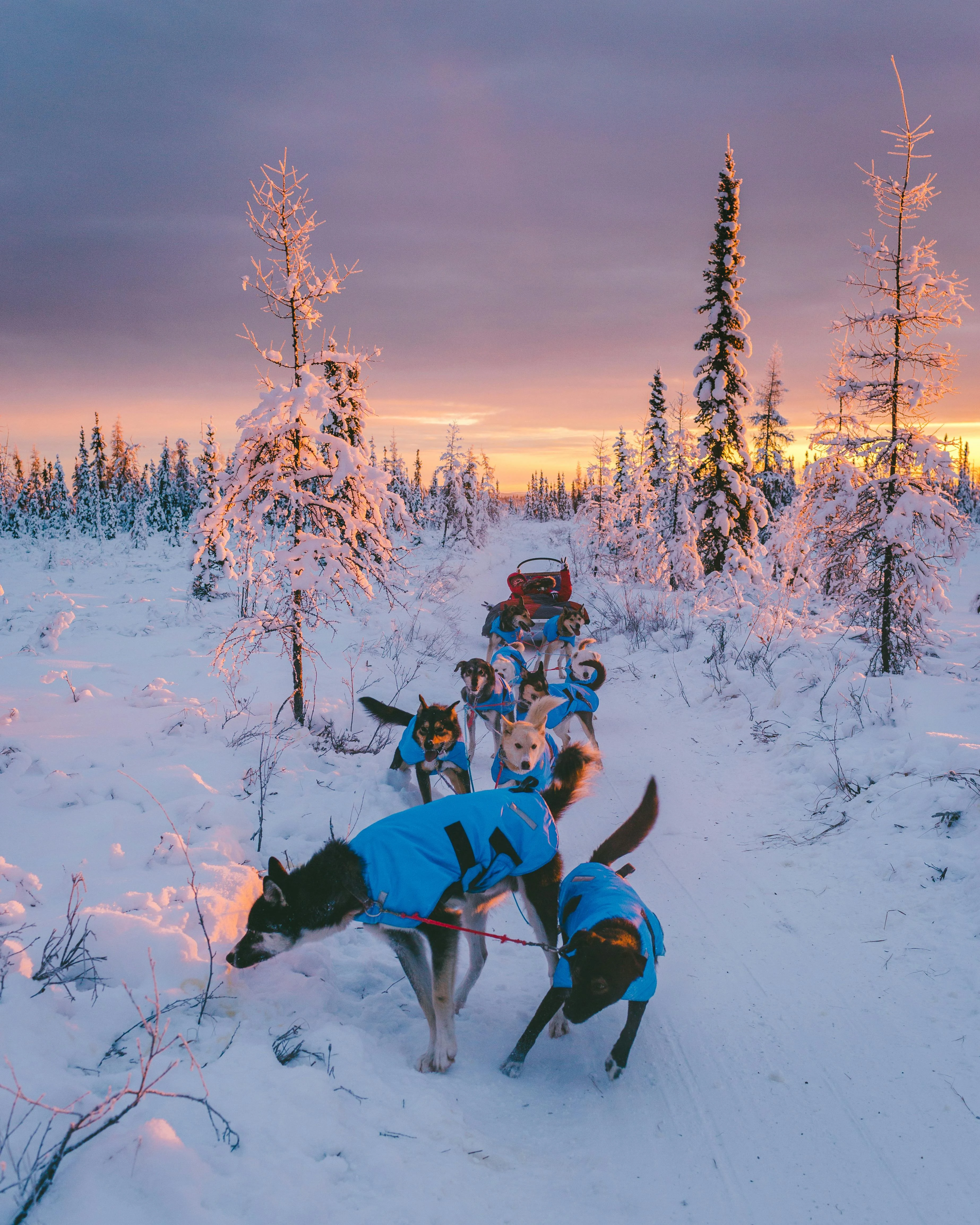 Lapland Travel Guide (Finland vs Sweden vs Norway)