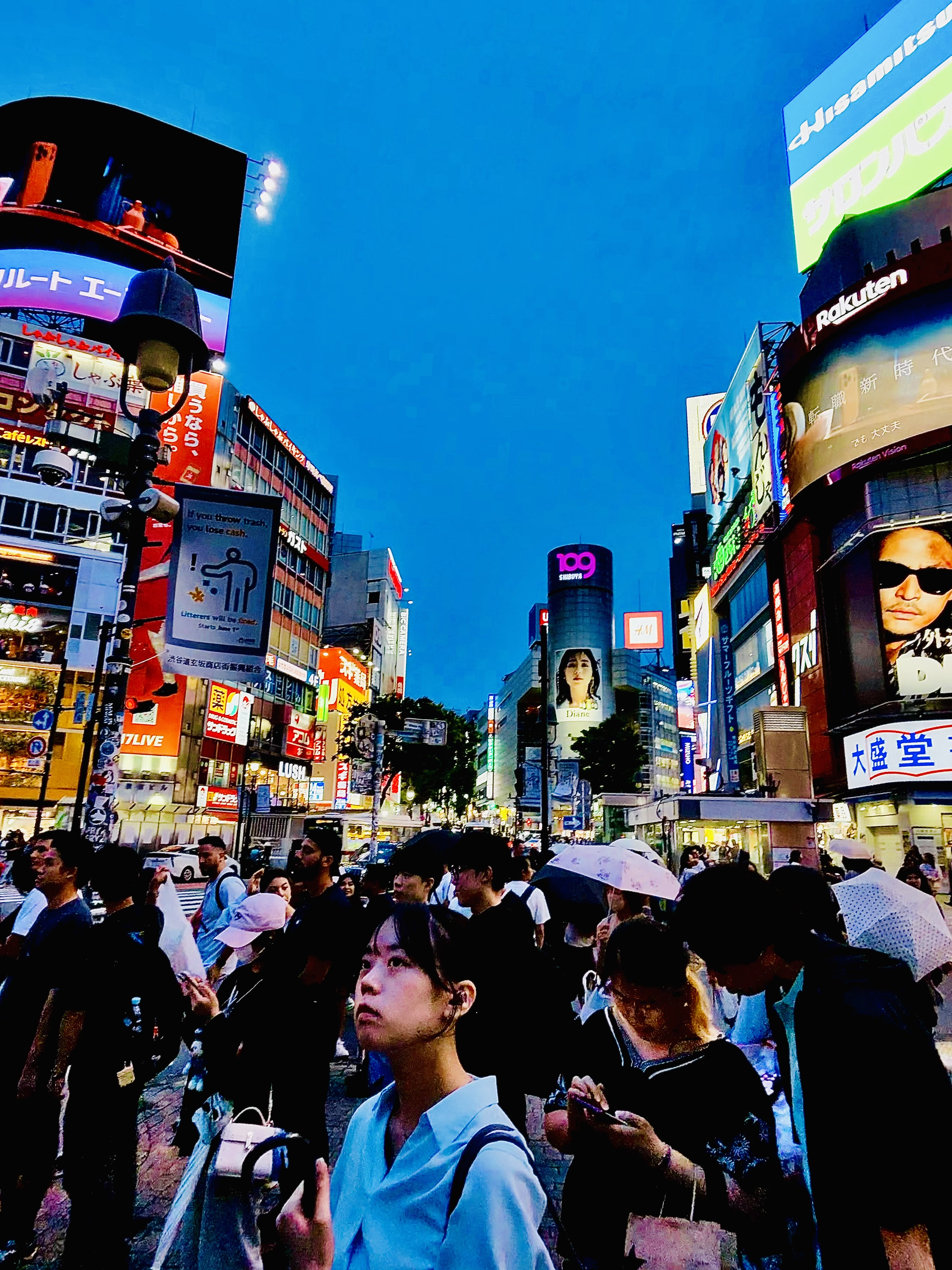 14 Days of Japan by Road: From Neon Cities to Hidden Villages
