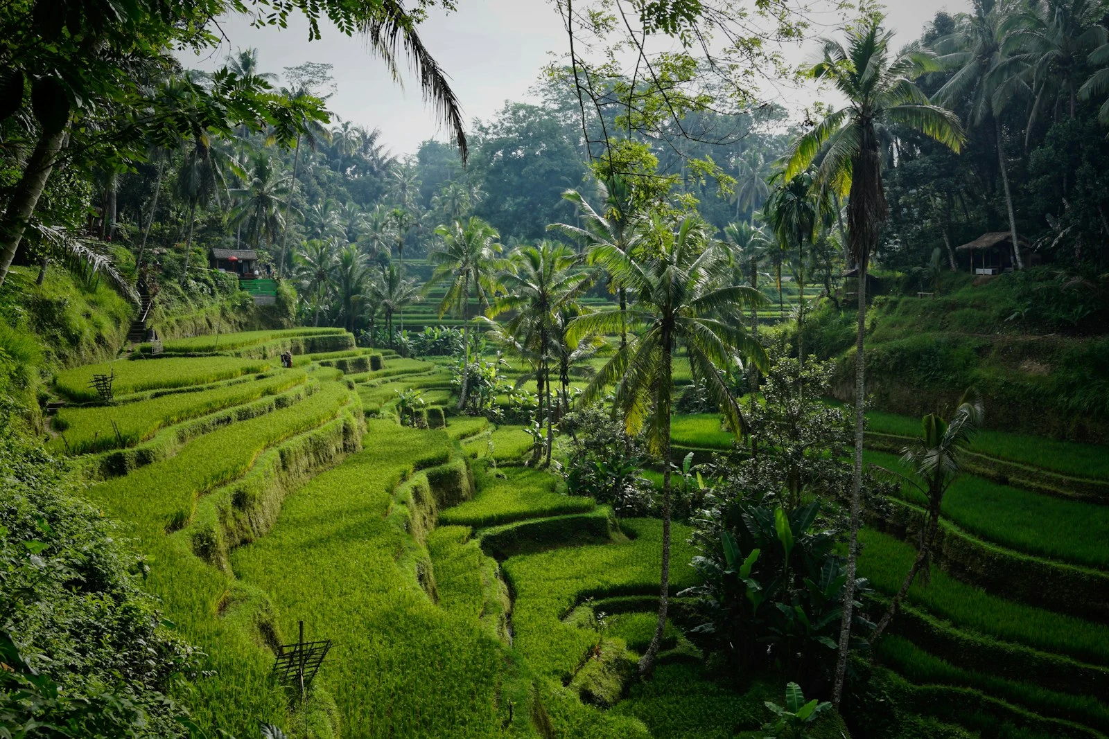 Bali Travel Guide 2026: Areas, Costs and What First-Timers Get Wrong
